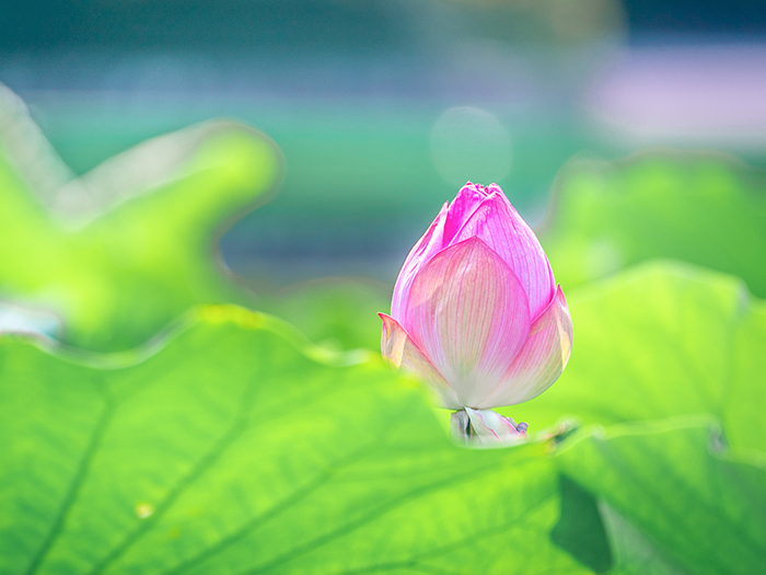 受け継がれるご縁と歩み