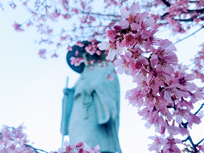 妙覚寺のはじまり