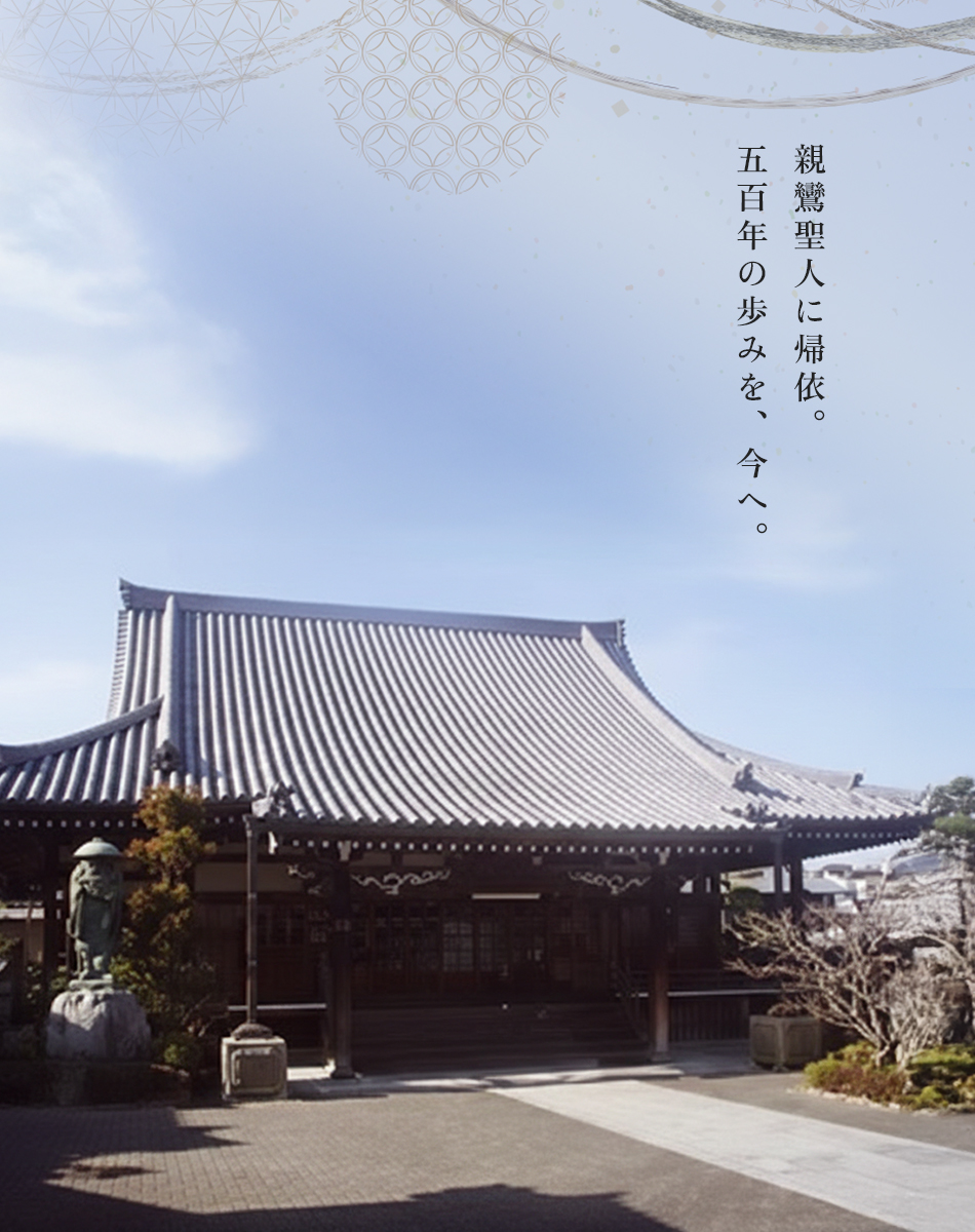 親鸞聖人に帰依。五百年の歩みを、今へ。